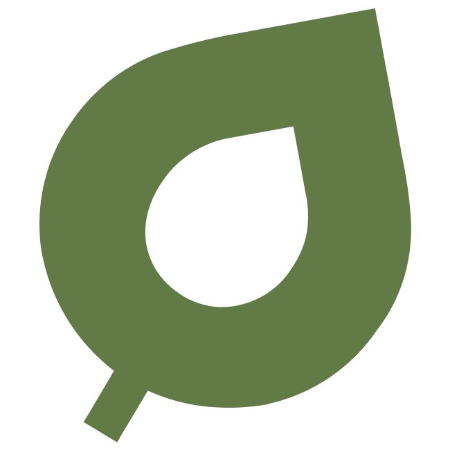 Plantsome store logo